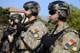 Bugetele pentru apărare și securitate națională au fost avizate cu acordul membrilor CSAT 