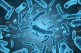 Tot ce trebuie să ştii despre Listeria, bacteria care a alertat întreaga lume