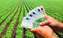Tinerii fermieri care pot primi până la 50.000 de euro