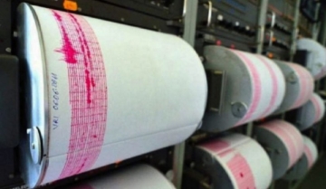 Un cutremur cu magnitudinea 4,4 s-a produs în Vrancea 